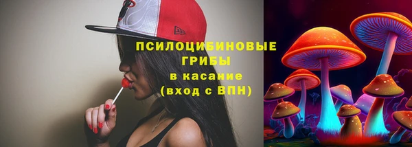 не бодяженный Богородицк