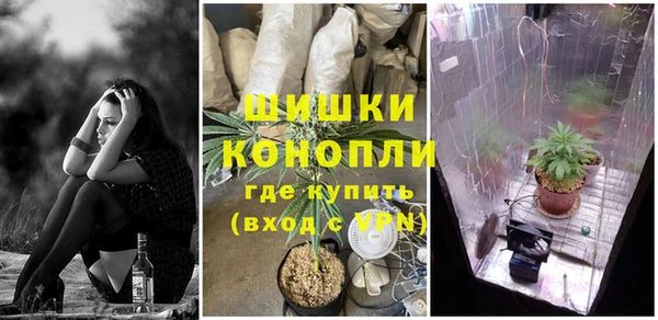 тгк Белокуриха
